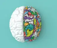 دکتر احسان افشارمنش